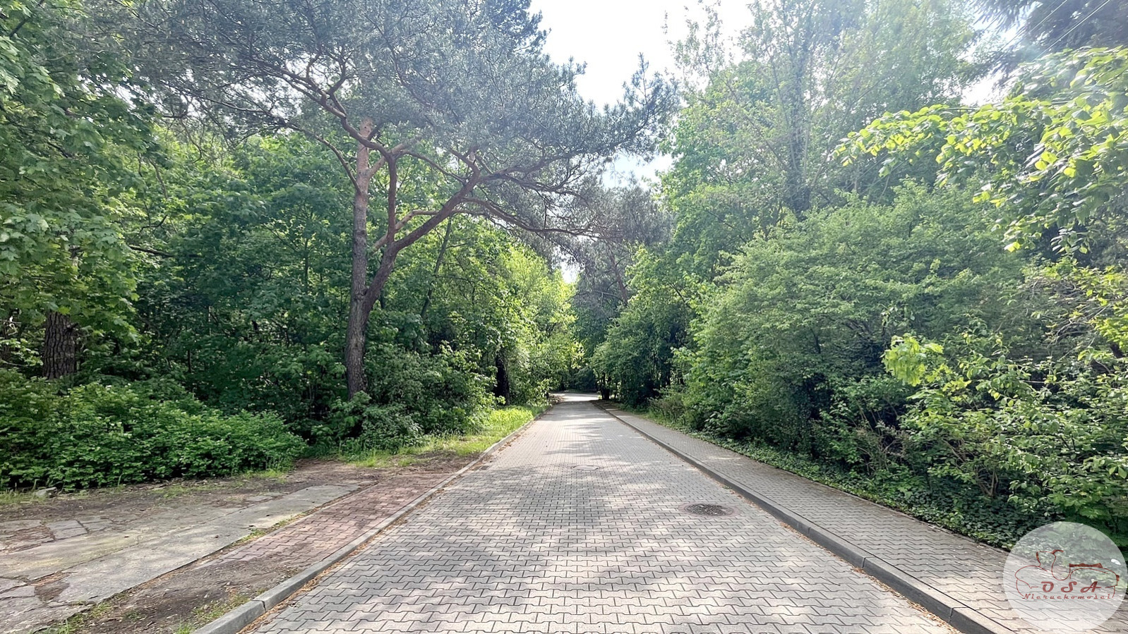 Działka Sprzedaż Puszczykowo Piękna 7