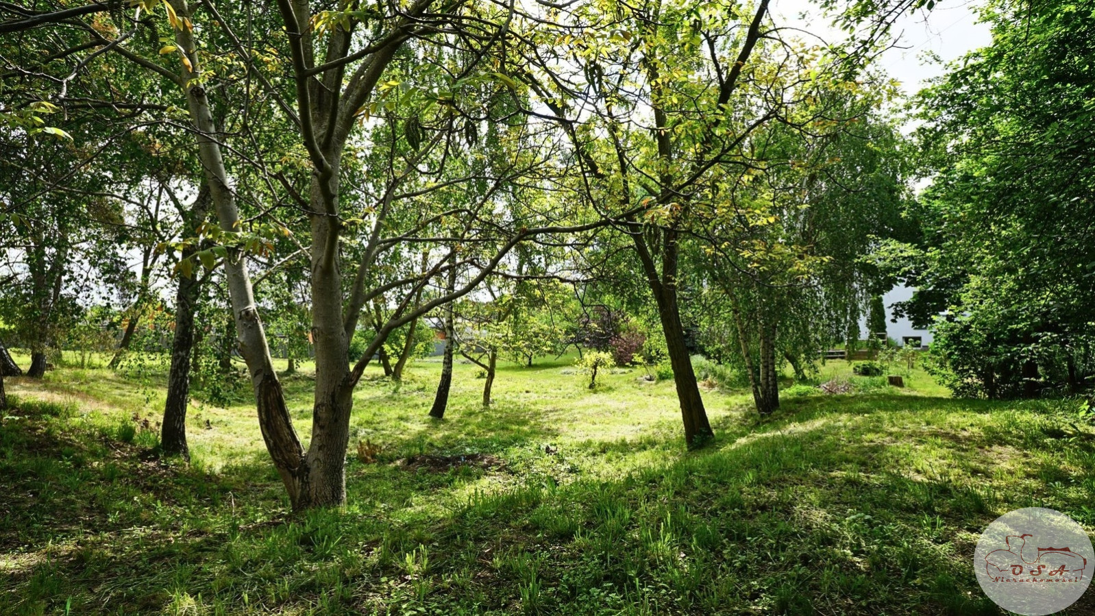 Dom Sprzedaż Zagórów Berdychów 7