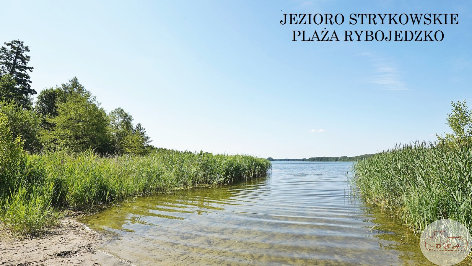 Działka Sprzedaż Rybojedzko 10
