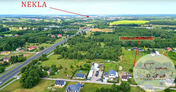 Działka Sprzedaż Zasutowo 2