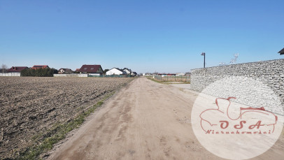 Działka Sprzedaż Czempiń