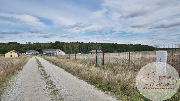 Działka Sprzedaż Jaszkowo 6