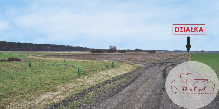 Działka Sprzedaż Młodzikówko 4