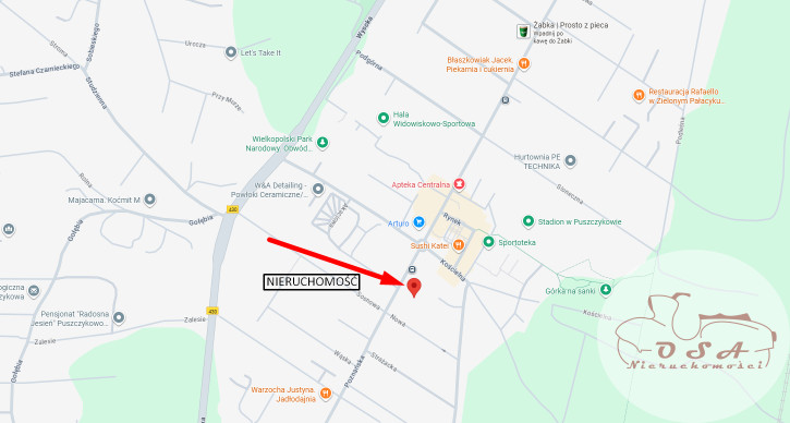 Obiekt Sprzedaż Puszczykowo Poznańska 19