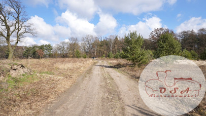 Działka Sprzedaż Esterpole