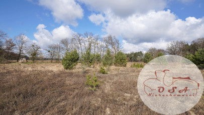 Działka Sprzedaż Esterpole