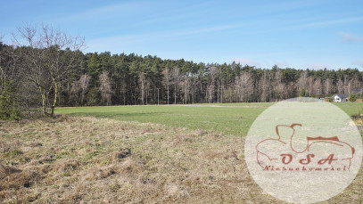 Działka Sprzedaż Sowinki Szałwiowa