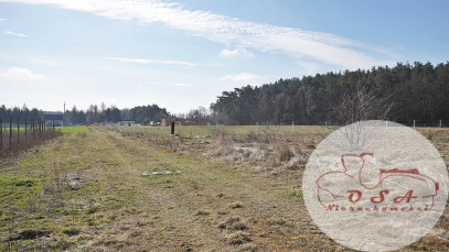Działka Sprzedaż Sowinki Szałwiowa