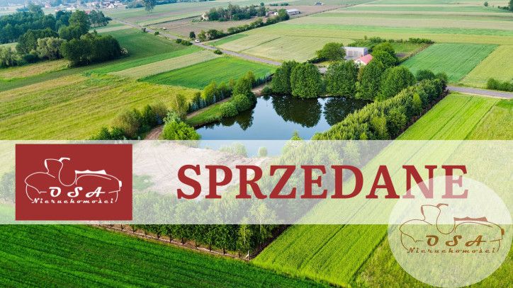 Działka Sprzedaż Wrąbczynek 1
