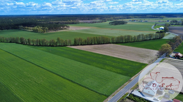 Działka Sprzedaż Żabno 2