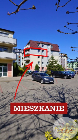 Mieszkanie Sprzedaż Września Gnieźnieńska 2