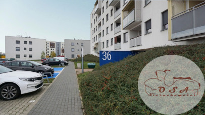 Mieszkanie Wynajem Września Bronisławy Śmidowicz