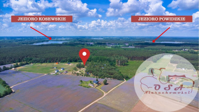 Działka Sprzedaż Skrzynka