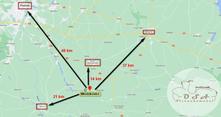 Działka Sprzedaż Młodzikówko 4