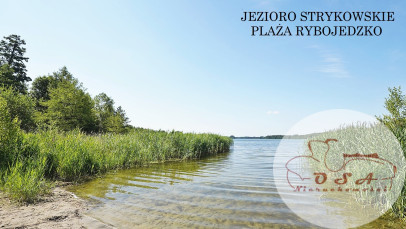 Działka Sprzedaż Rybojedzko