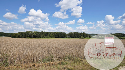 Działka Sprzedaż Rybojedzko