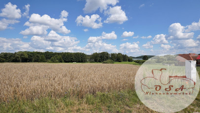 Działka Sprzedaż Rybojedzko
