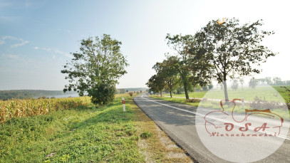 Działka Sprzedaż Stęszew